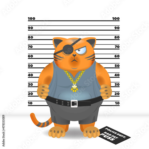 Cartoon redhead fat disgruntled cat bandit in pants and a shirt with a gold chain and an eye patch, against the background of the growth chart for the gangsters
