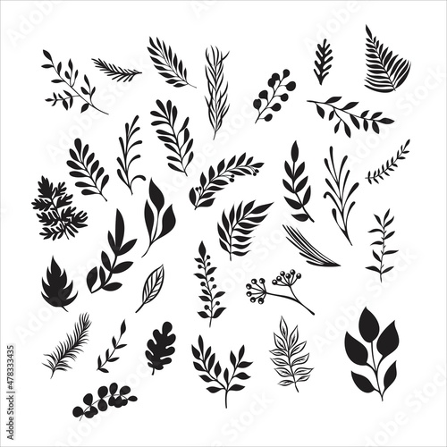 Sketch branch of leaves by hand on an isolated background