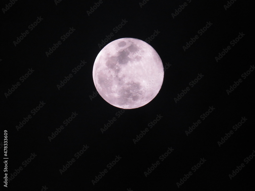 Obraz premium beautiful images for you to select