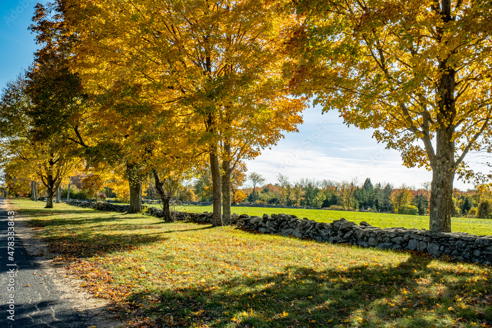 A farmer's field in the fall bordered by stonewalls in Hardwick, Massachusetts