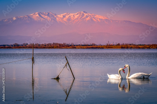 Photos Coucher de soleil sur l'étang de Canet en Roussillon avec la Canigou en fond