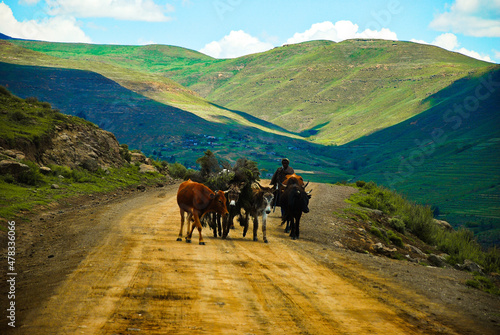 Fotografie Horses herders in Lesotho Kingdoom South Africa
