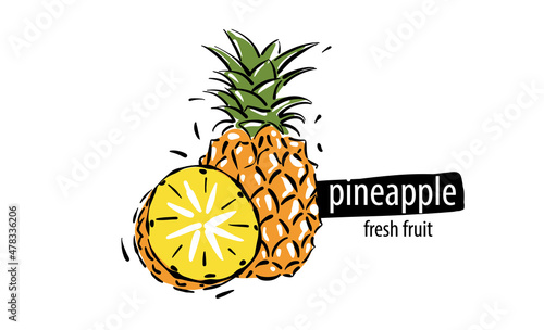 Drawn vector pineapple on a white background