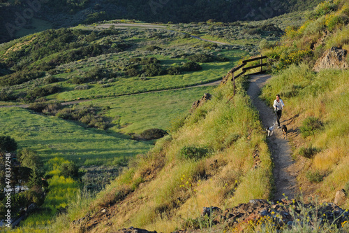 Female jogger with dogs on trail, Wildwood Park, Thousand Oaks, CA