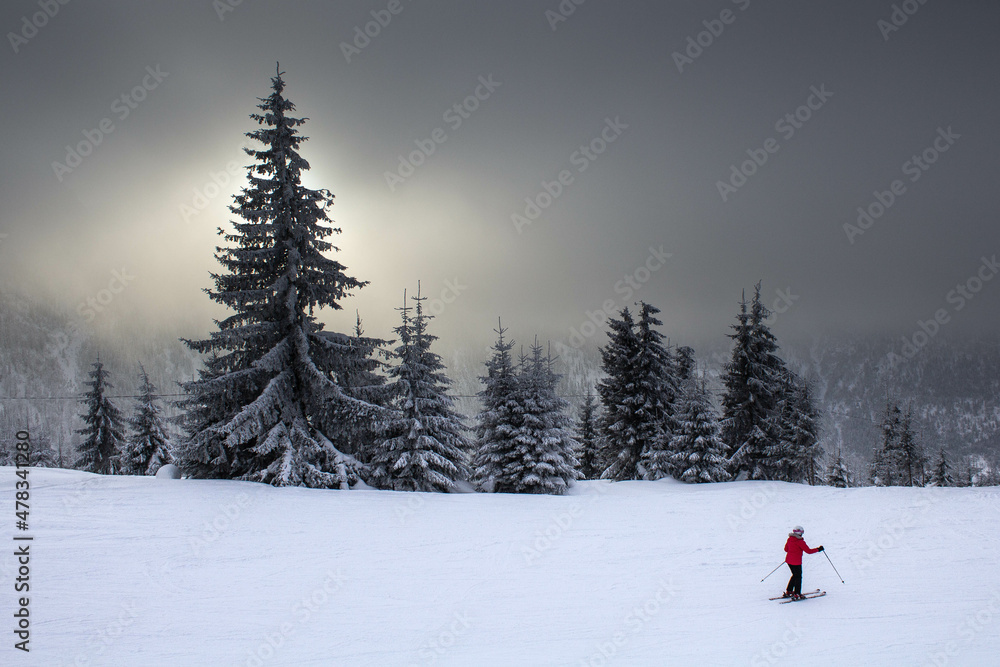 Skier in red on a beautiful foggy landscape