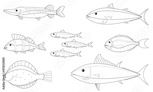 various fishes picture with no color for drawing book