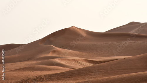 Amazing view of sand dunes in the desert of Al Ain  Abu Dhabi  UAE.