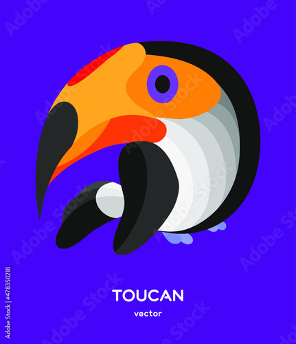 vector isolated cartoon tocan bird 