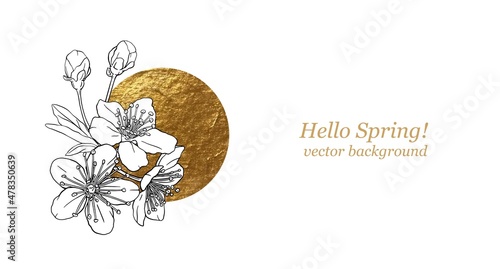 Hand drawn branch of sakura with blooms, flowers, leaves, petals. Golden sircle, sun. Modern line art style.