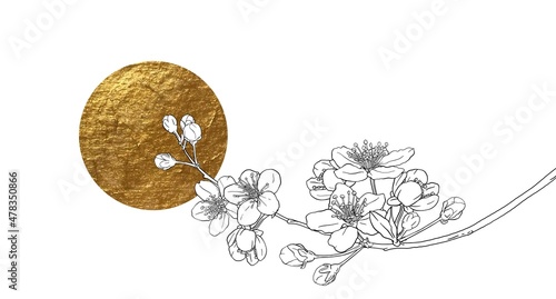 Hand drawn branch of sakura with blooms, flowers, leaves, petals. Golden sircle, sun. Modern line art style.