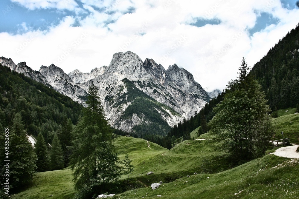 Alm / Alpen / Bayern / Schweiz / Berge / Wandern 