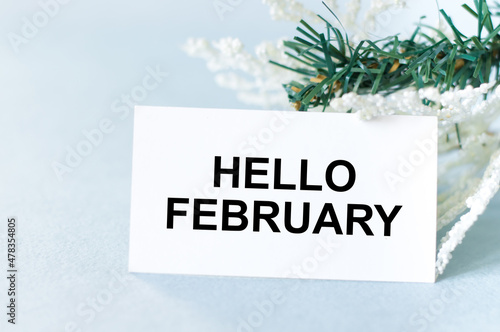 Hello February text on a card next to a white and green spruce branch on a light background