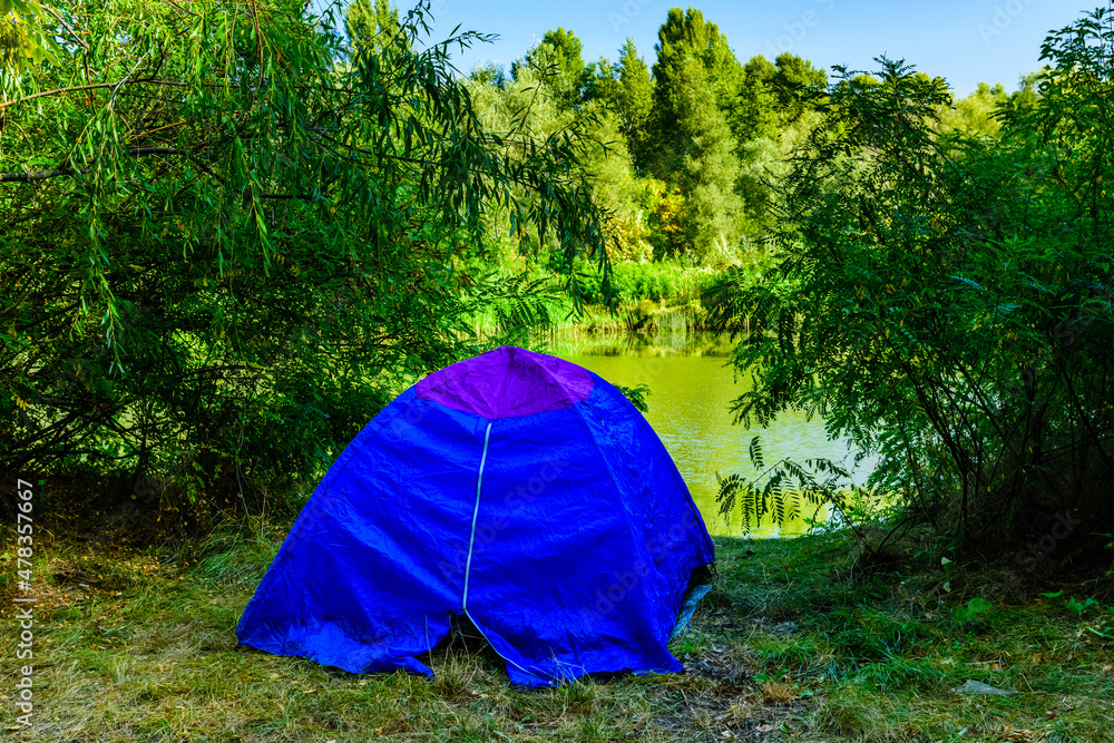 Blue tent in a forest on summer