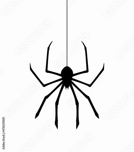 vector hanging spider on web thread
