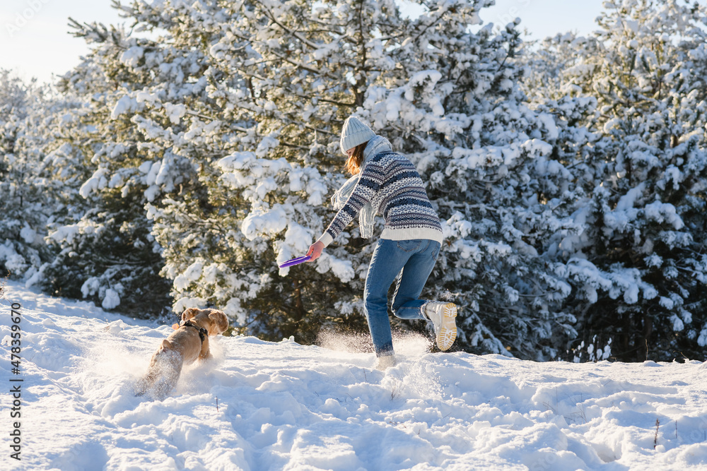 A young woman wearing a knitted hat, sweater and scarf plays with her dog in the winter forest. Sunny day. The dog is catching up with the running away girl with a toy