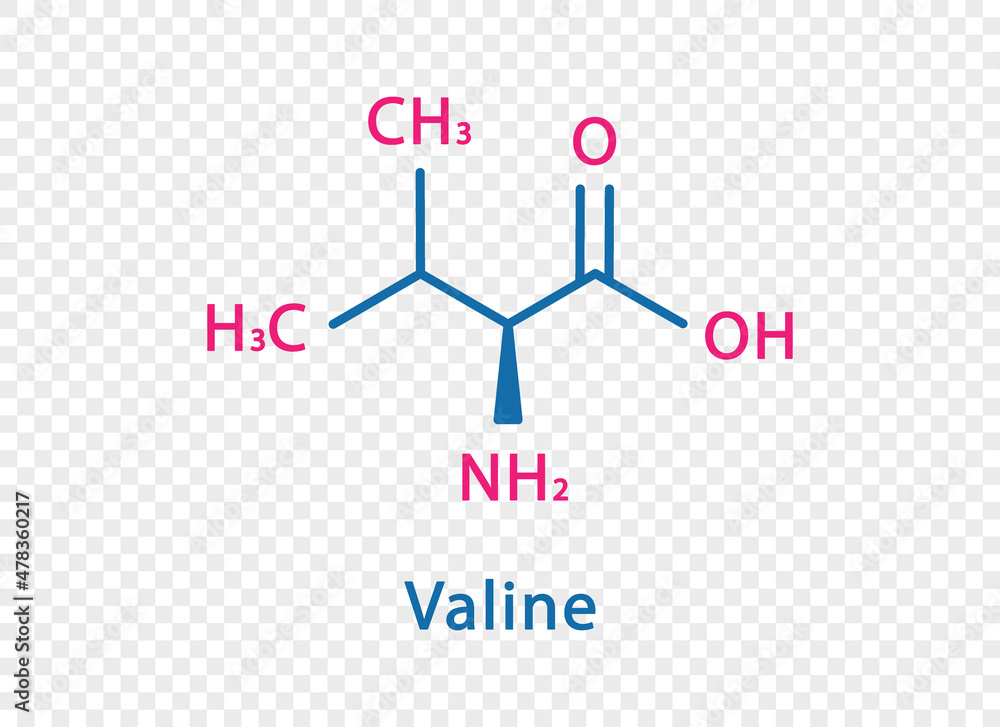 Valine chemical formula. Valine structural chemical formula isolated on transparent background.