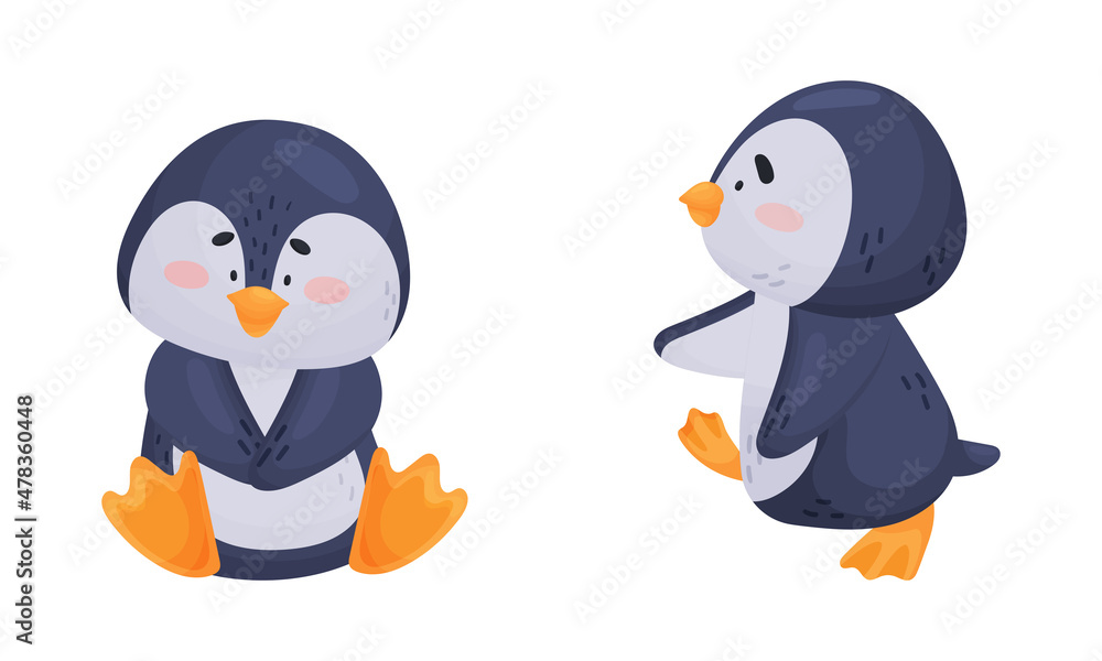 Fototapeta premium Cute Penguin Arctic Animal Waddling and Sitting Vector Set
