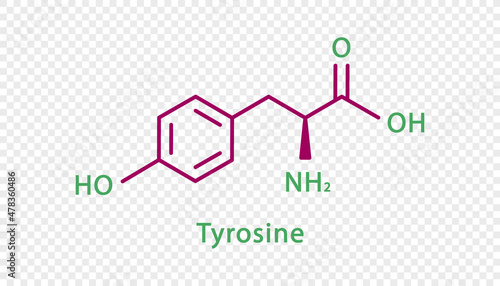 Tyrosine chemical formula. Tyrosine structural chemical formula isolated on transparent background.