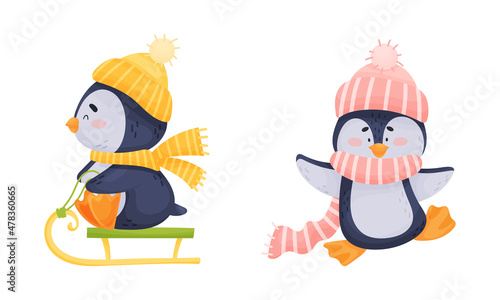 Cute Penguin Arctic Animal in Hat and Scarf Sledging Vector Set
