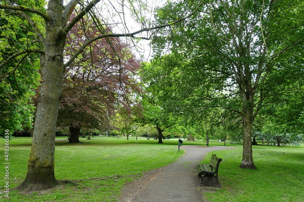 Scenic view of a winding path through a beautiful green park