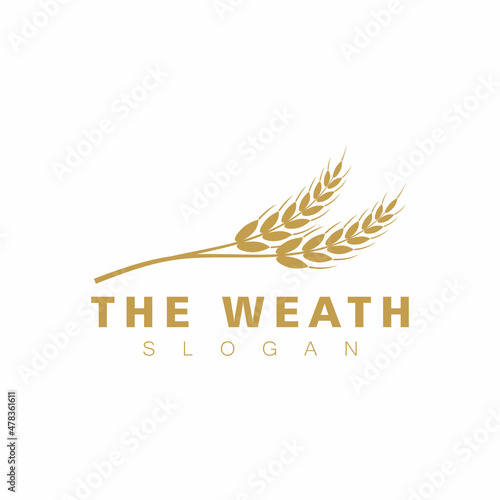 Agriculture wheat vector icon design