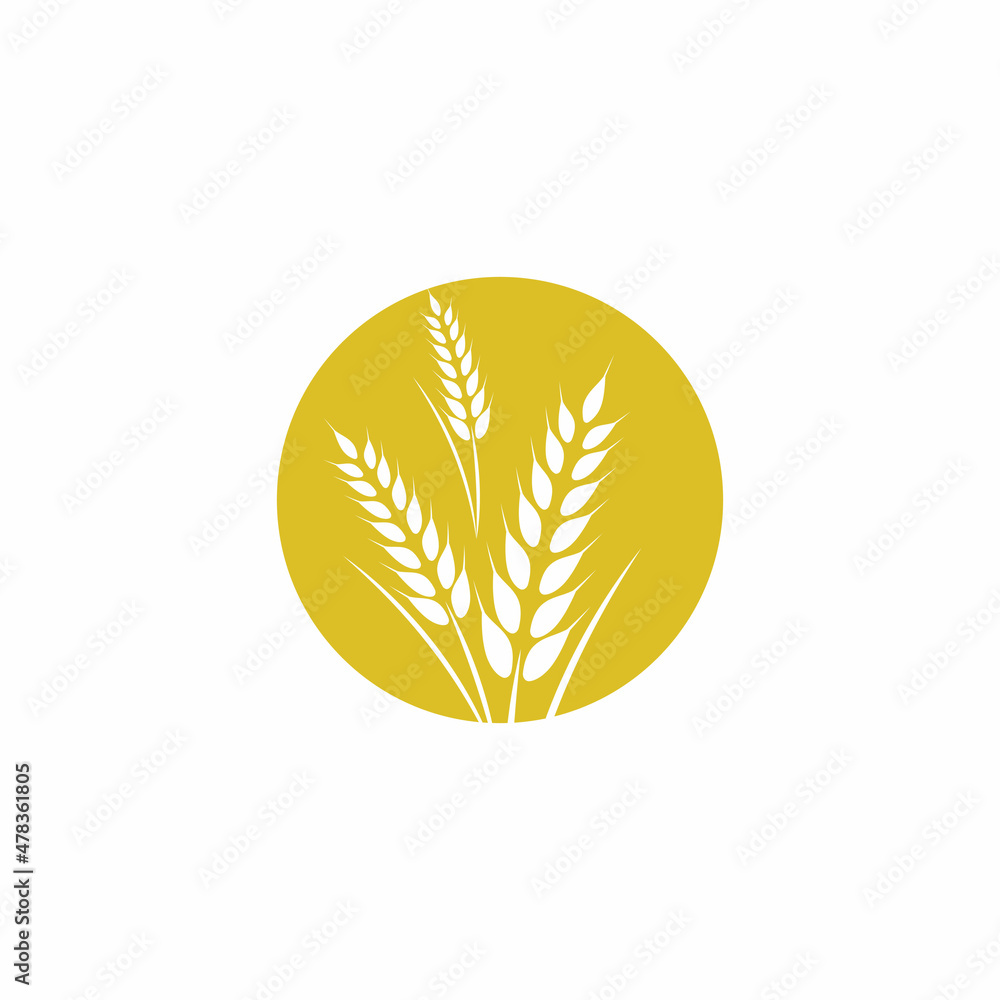 Agriculture wheat vector icon design Agriculture wheat vector icon design