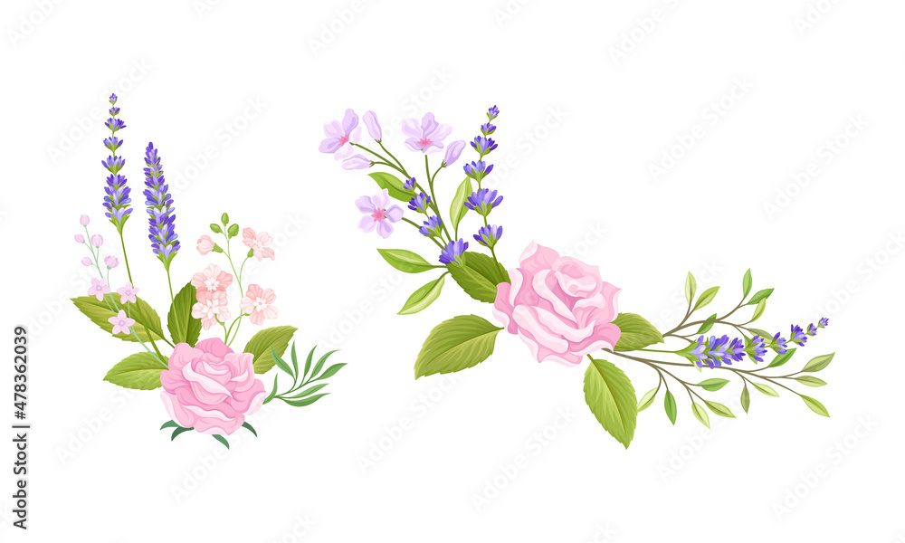 Pink Rose Bud and Tender Lavender Flower Twigs Arranged in Decor Composition Vector Set