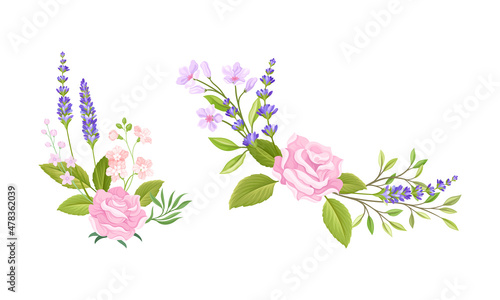 Pink Rose Bud and Tender Lavender Flower Twigs Arranged in Decor Composition Vector Set