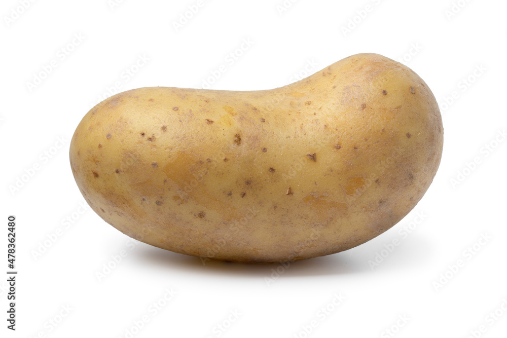 Single fresh raw Levante potato isolated on white background Single fresh raw Levante potato isolated on white background