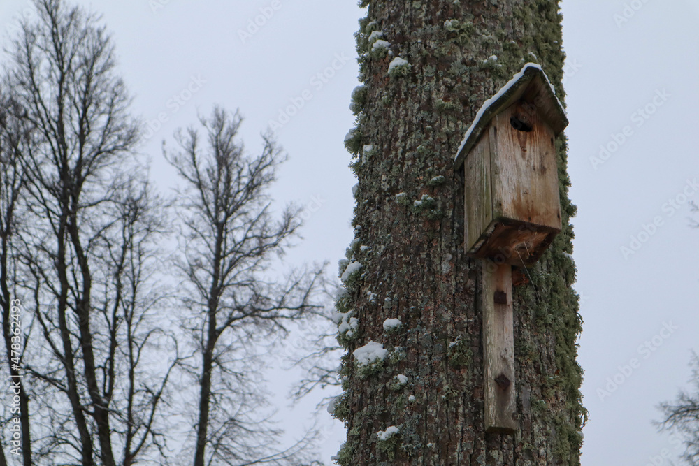 wooden birdhouse on a tree in winter park wooden birdhouse on a tree in winter park
