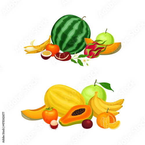 Fototapeta Naklejka Na Ścianę i Meble -  Pile of Bright and Juicy Tropical Fruit with Melon and Watermelon Vector Set