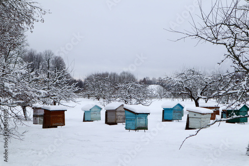 view of a winter apiary with snow covered beehives