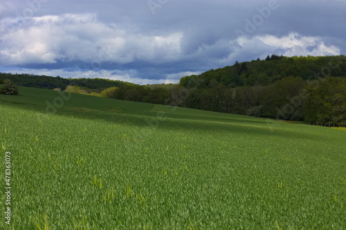 Wiesen Jagd Natur Landschaft Landwirtschaft nachhaltig Biosphäre Frühling Sommer grün grüne Wiesen © Thomas