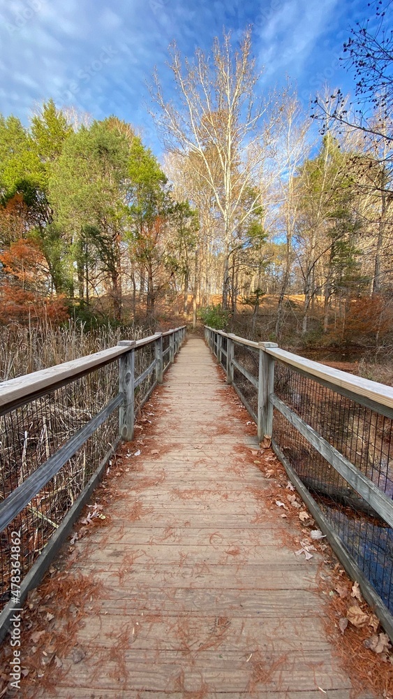 Obraz premium Wooden bridge in the autumn forest