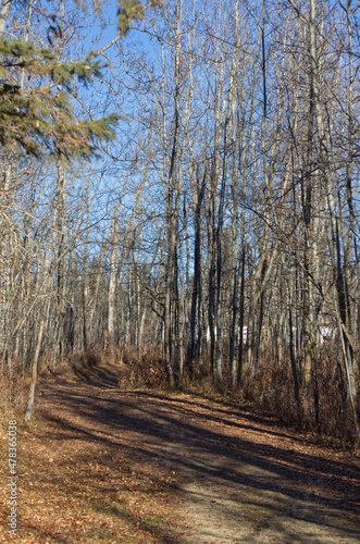 A Hiking Trail in Late Autumn