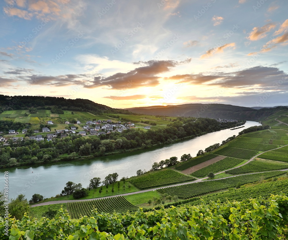 Landschaft der Mosel im Sommer Landschaft der Mosel im Sommer