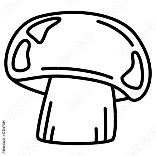 A large boletus, an edible forest mushroom. Vector icon, outline, isolated