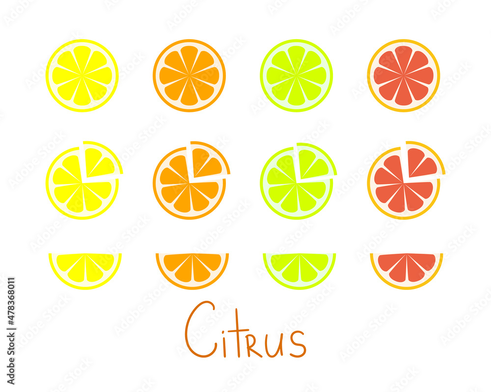Citrus fruit set: lemon, orange, lime and grapefruit. Isolated on white background Citrus fruit set: lemon, orange, lime and grapefruit. Isolated on white background