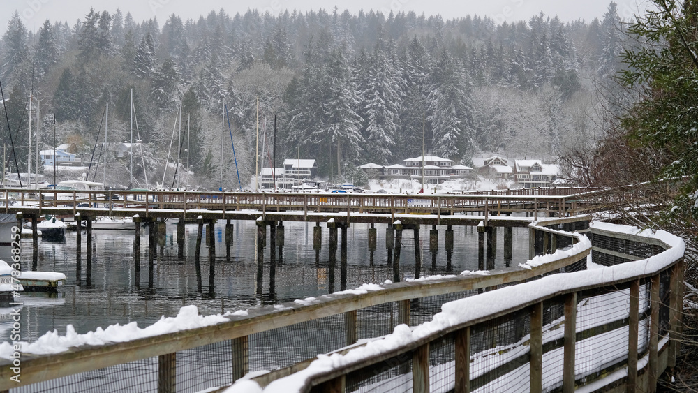 Fototapeta premium Winter on Bainbridge Island