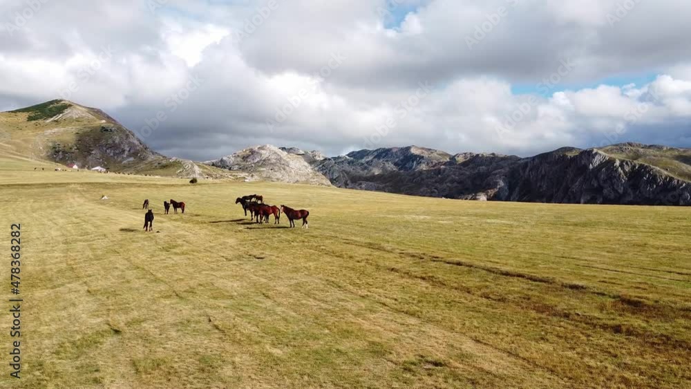 Aerial view of small herd of horses grazing on mountain meadow. High rocks in the background. Shot in Durmitor - national park of Montenegro. Aerial view of small herd of horses grazing on mountain meadow. High rocks in the background. Shot in Durmitor - national park of Montenegro.