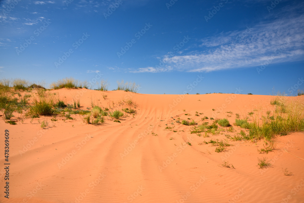 sand dunes in the desert