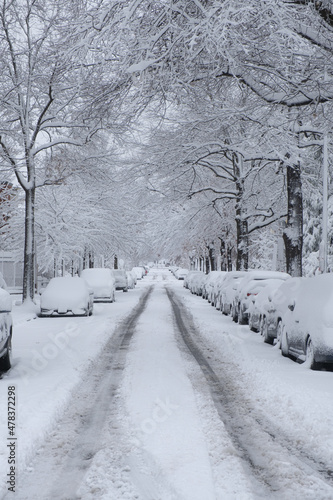 Obraz na płótnie Snow Covered Street