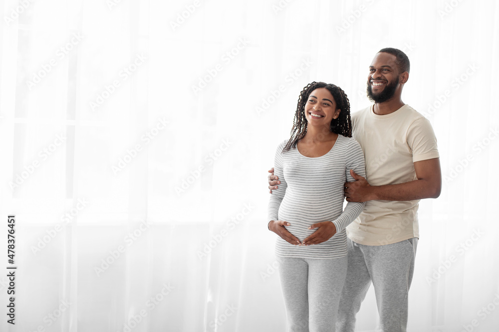 Cheerful satisfied handsome young black man hugs pregnant woman with belly in bedroom interior Cheerful satisfied handsome young black man hugs pregnant woman with belly in bedroom interior