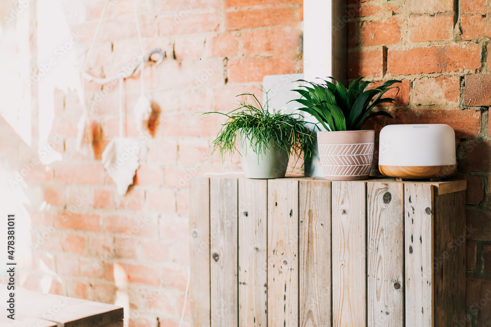 Fresh green home plants in pots and essential oils diffuser on the brick wall background in a modern eco friendly minimalist interior. Selective focus, copy space. Fresh green home plants in pots and essential oils diffuser on the brick wall background in a modern eco friendly minimalist interior. Selective focus, copy space.