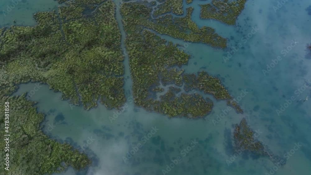 Aerial view of the marsh landscape in the Ria de Limpias. Marismas de Santoña, Victoria and Joyel Natural Park. Carasa, Cantabria, Spain, Europe Aerial view of the marsh landscape in the Ria de Limpias. Marismas de Santoña, Victoria and Joyel Natural Park. Carasa, Cantabria, Spain, Europe