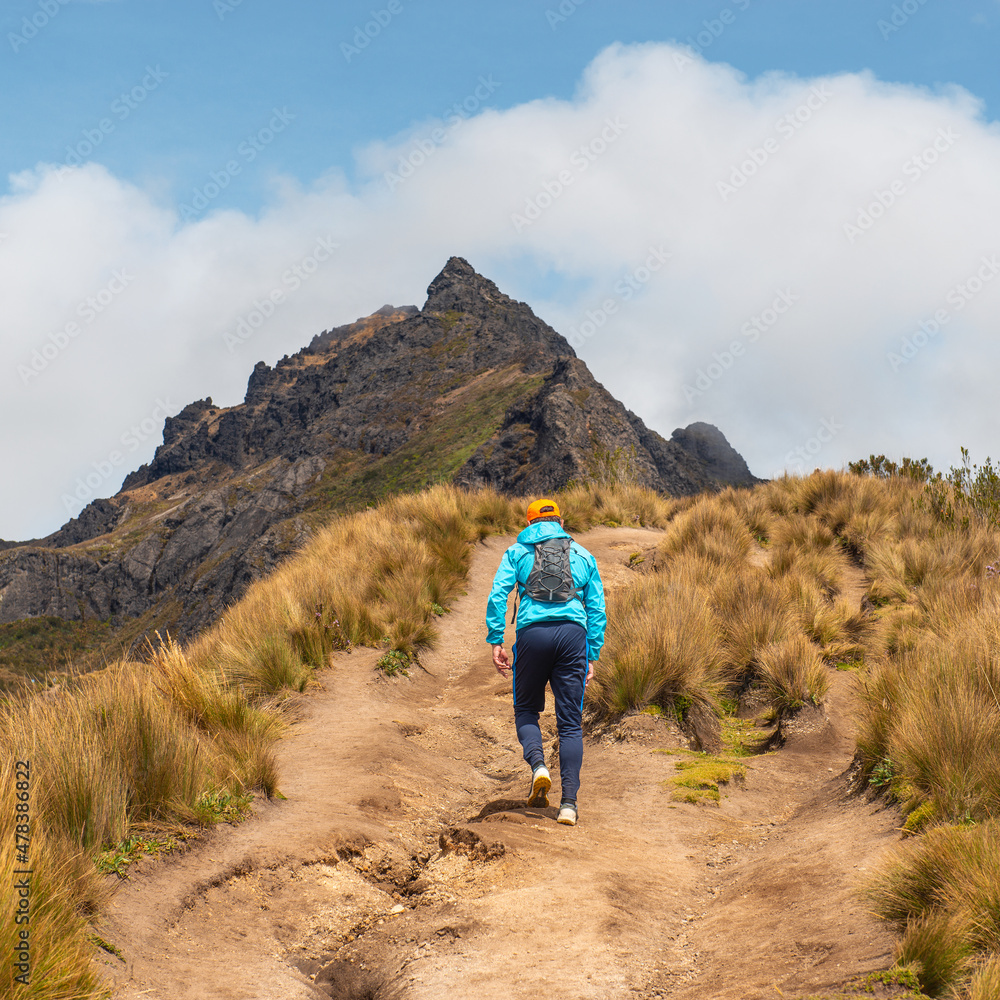 Tourist walking the high altitude Rucu Pichincha volcano hike with backpack in the Andes mountains, Pichincha Volcano, Quito, Ecuador.