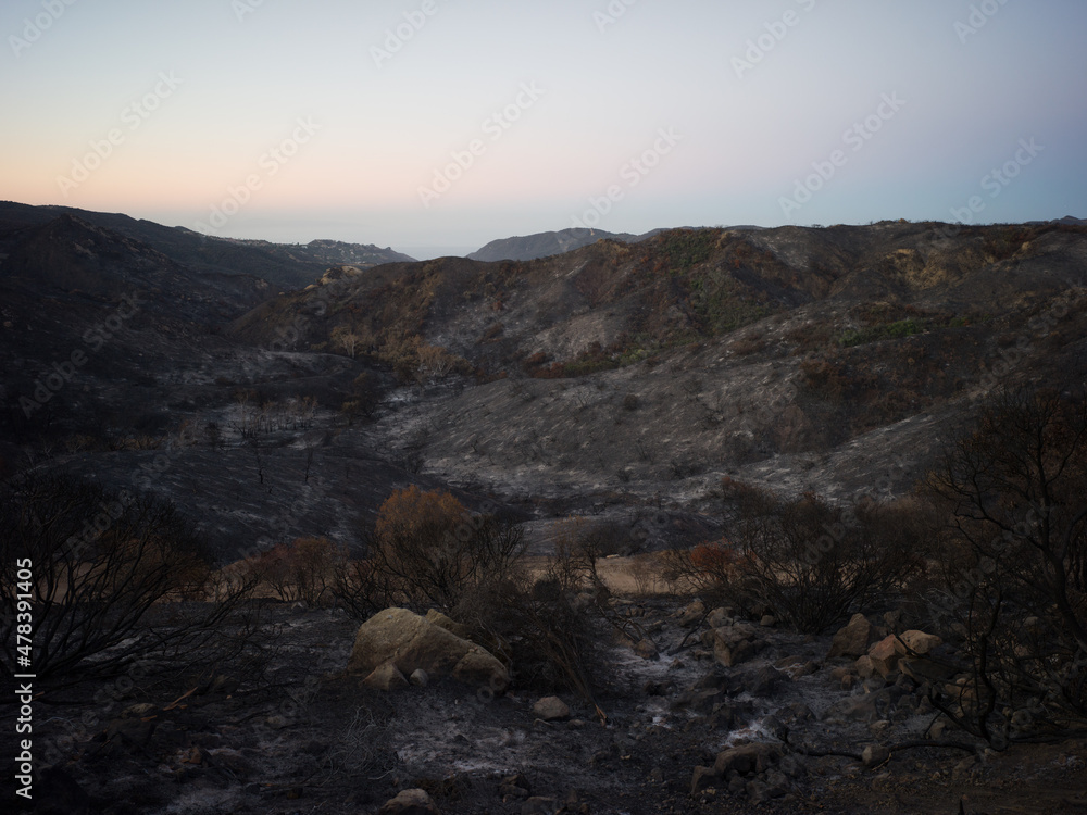 burnt mountain after fire burnt mountain after fire