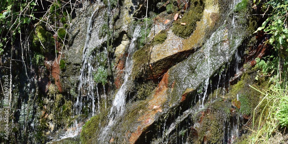 Fondo de manantial y cascada de agua. Stock Photo | Adobe Stock