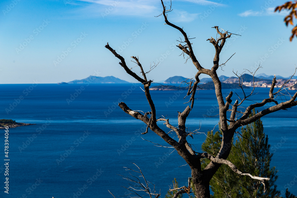 View of the Adriatic coast. Dalmatia Region. Croatia View of the Adriatic coast. Dalmatia Region. Croatia