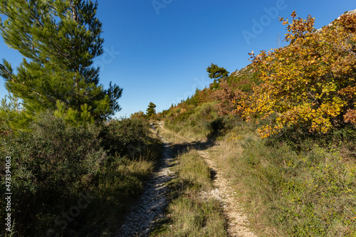 Ecological stone trail along the rocky coast of Mediterranean sea. Croatia © Sergey Fedoskin